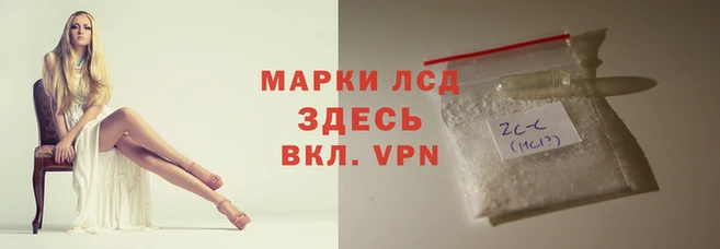 ПСИЛОЦИБИНОВЫЕ ГРИБЫ Володарск